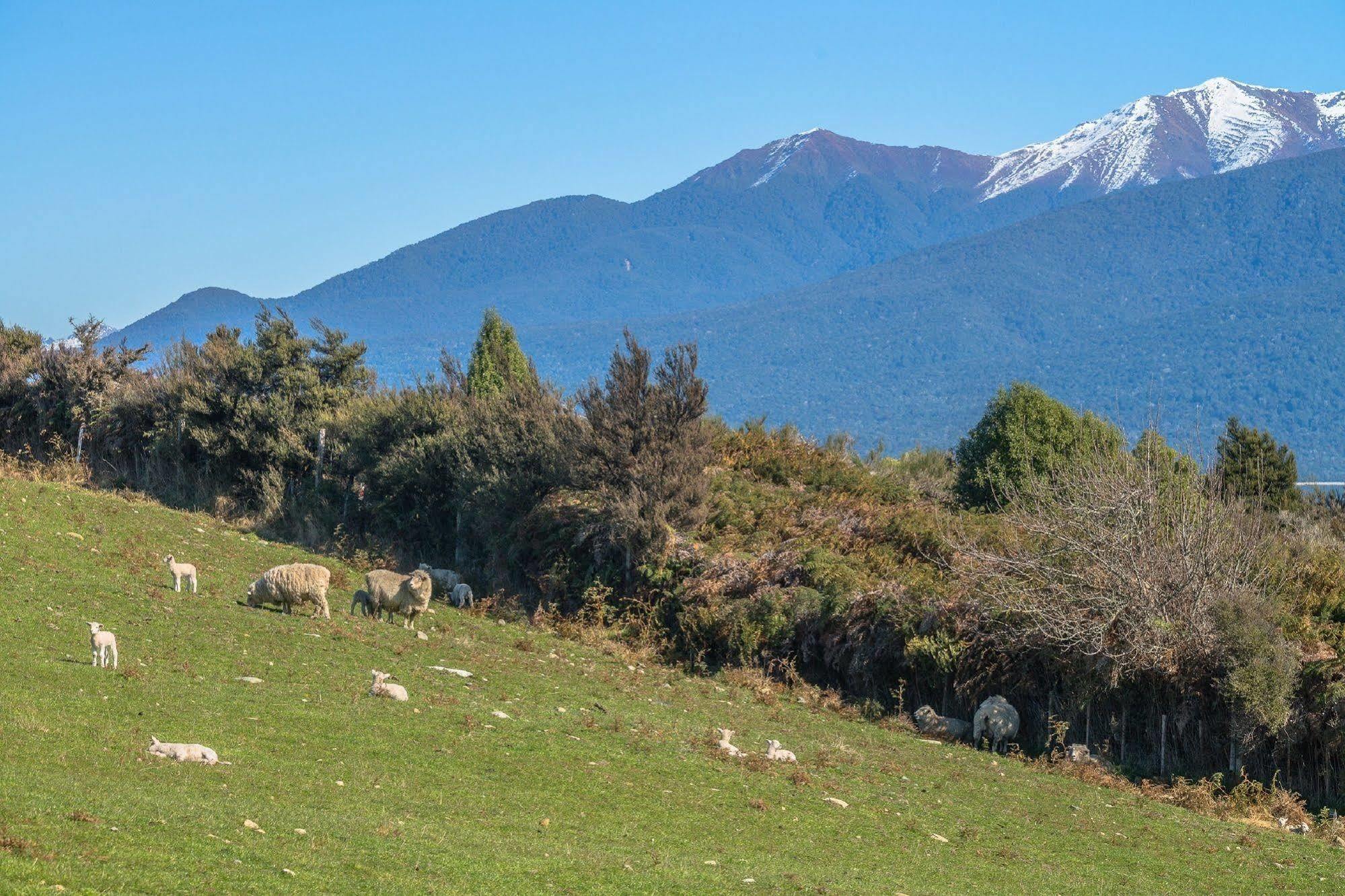 Loch Vista Bed & Breakfast Te Anau Exterior photo